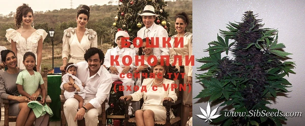 MESCALINE Аркадак