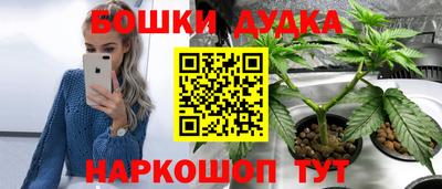 молекула духа Кулебаки