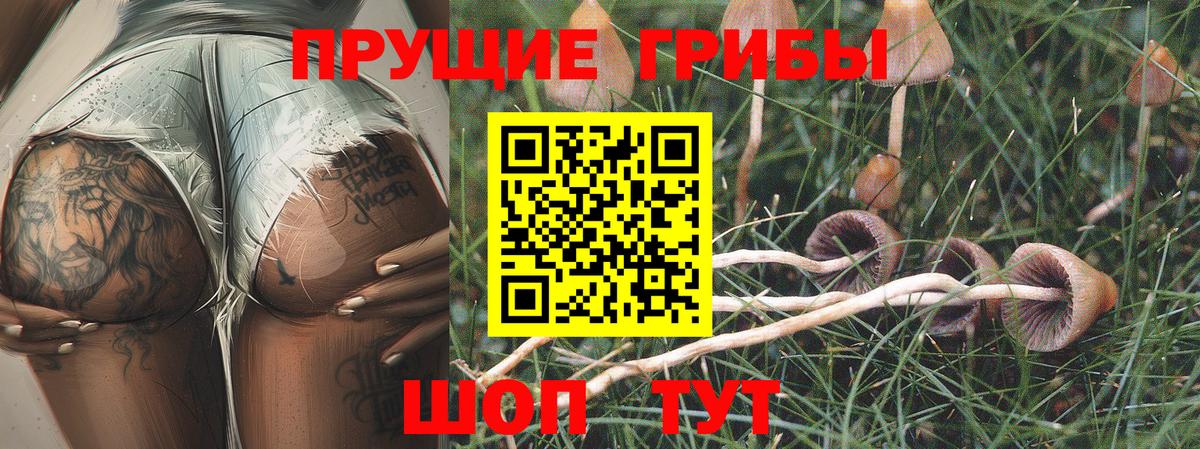 Галлюциногенные грибы Psilocybe  Псилоцибиновые грибы Cubensis  наркошоп  Вход с VPN  Узловая 