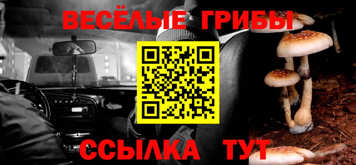 Галлюциногенные грибы Cubensis Узловая